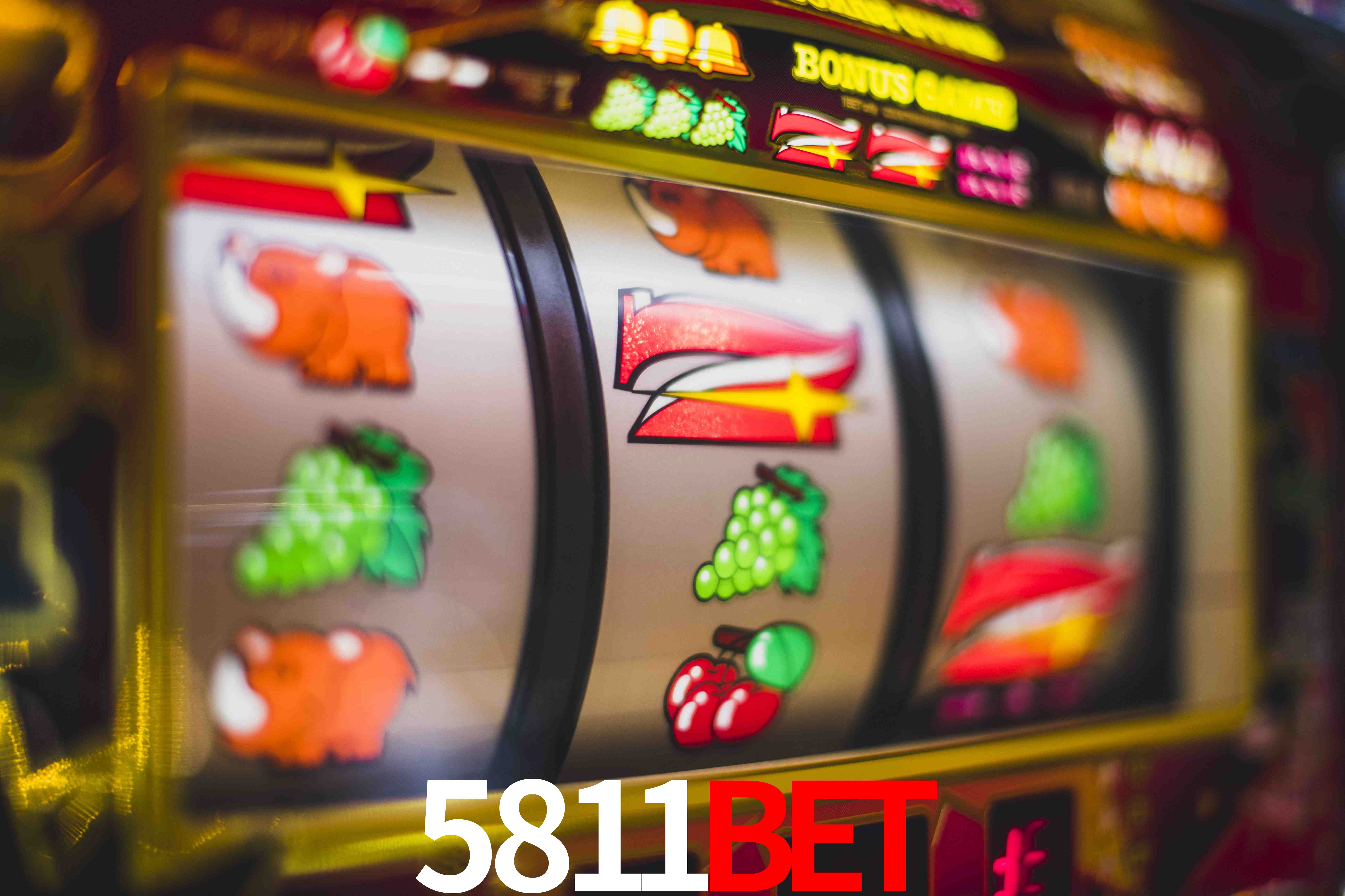 Experiência VIP 5811bet